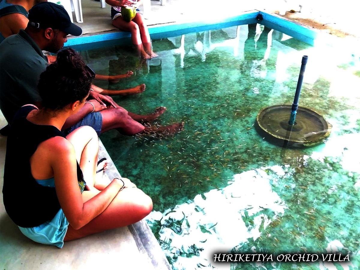 Hiriketiya Orchid Villa Dikwella Bagian luar foto