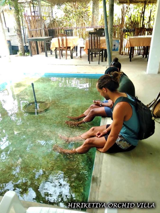 Hiriketiya Orchid Villa Dikwella Bagian luar foto